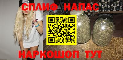 гидра Рузаевка