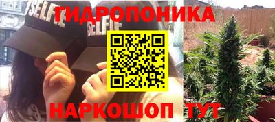 гидра Рузаевка