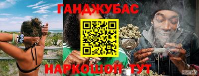 прущие грибы Рязань
