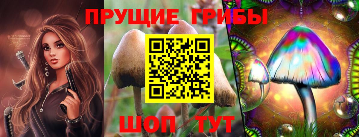 Советск  Псилоцибиновые грибы Cubensis  хочу   Вход с VPN 